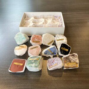 Beautiful Mixed Dozen Crystals & Minerals Collector's Gift Box ✨